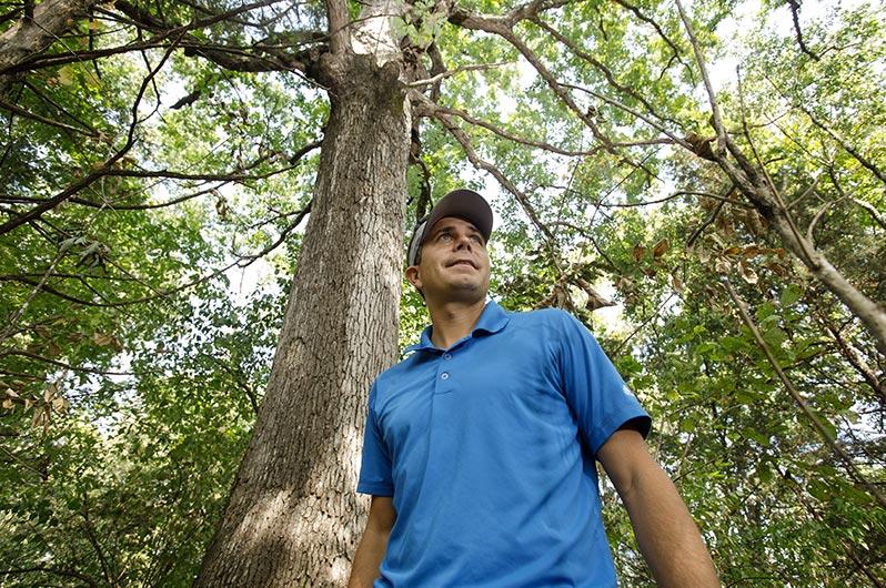 Featured image for “Independent Stave Company and Maker’s Mark Partner with UK to Map White Oak Genome”