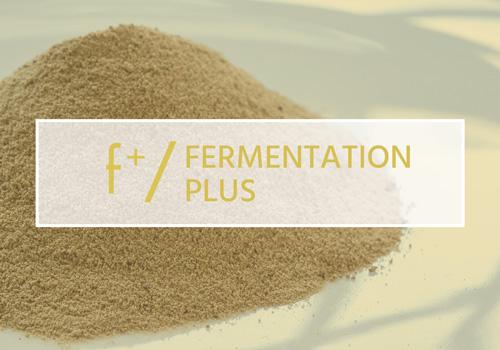 Featured image for “Oak Solutions Group Develops New F+ / Fermentation Plus”